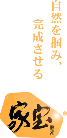 kahologobottom